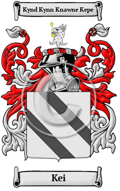 Kei Family Crest Download (JPG) Heritage Series - 600 DPI