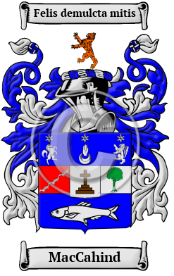 MacCahind Family Crest/Coat of Arms