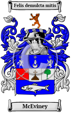 McEviney Family Crest/Coat of Arms