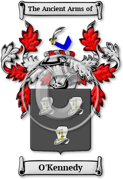 O'Kennedy Family Crest Download (jpg) Legacy Series - 150 DPI