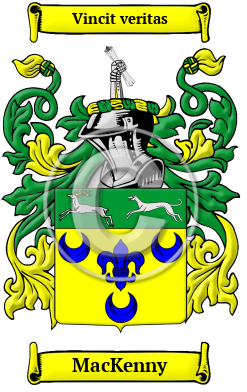 MacKenny Family Crest/Coat of Arms