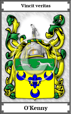 O'Kenny Family Crest Download (JPG)  Book Plated - 150 DPI