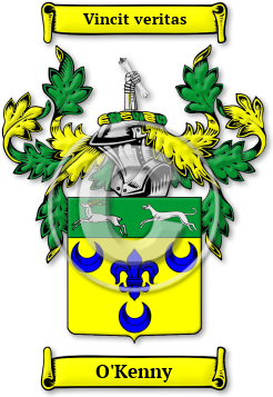 O'Kenny Family Crest Download (jpg) Legacy Series - 150 DPI