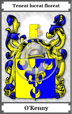 O'Kenny Family Crest Download (JPG)  Book Plated - 150 DPI