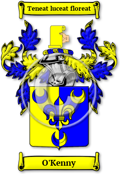 O'Kenny Family Crest Download (jpg) Legacy Series - 150 DPI