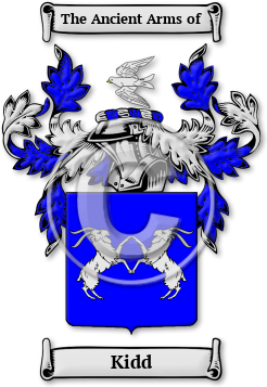 Kidd Family Crest Download (jpg) Legacy Series - 150 DPI