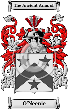 O'Neenie Family Crest/Coat of Arms