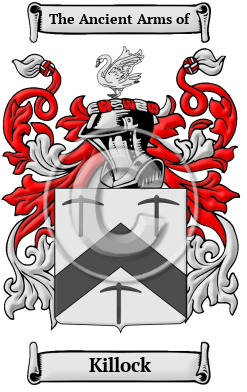 Killock Family Crest/Coat of Arms