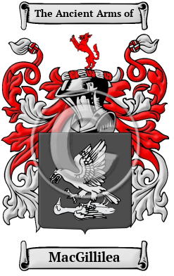 MacGillilea Family Crest/Coat of Arms