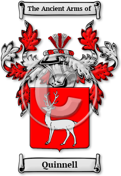 Quinnell Family Crest Download (jpg) Legacy Series - 150 DPI