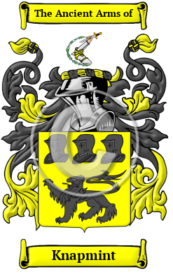 Knapmint Family Crest/Coat of Arms