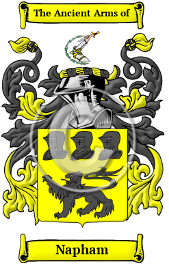 Napham Family Crest/Coat of Arms