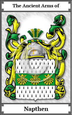 Napthen Family Crest Download (JPG)  Book Plated - 150 DPI