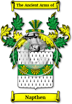 Napthen Family Crest Download (jpg) Legacy Series - 150 DPI