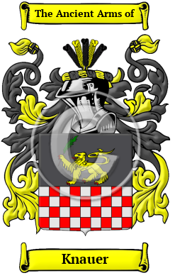 Knauer Family Crest/Coat of Arms
