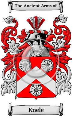 Knele Family Crest/Coat of Arms