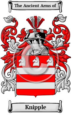 Knipple Family Crest/Coat of Arms