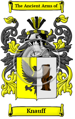 Knauff Name Meaning, Family History, Family Crest & Coats of Arms