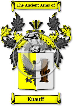 Knauff Family Crest Download (jpg) Legacy Series - 150 DPI