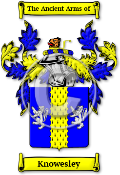 Knowesley Family Crest Download (jpg) Legacy Series - 150 DPI