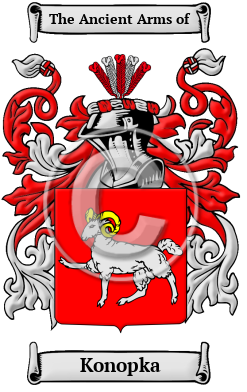 Konopka Family Crest/Coat of Arms