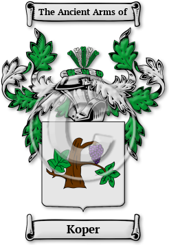 Koper Family Crest Download (JPG) Legacy Series - 300 DPI