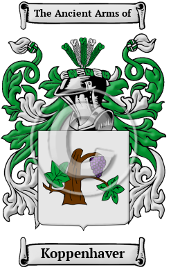 Koppenhaver Family Crest/Coat of Arms