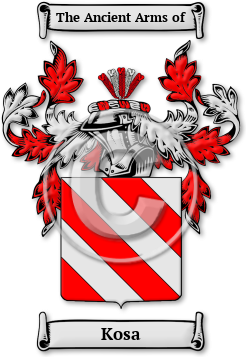 Kosa Family Crest Download (jpg) Legacy Series - 150 DPI