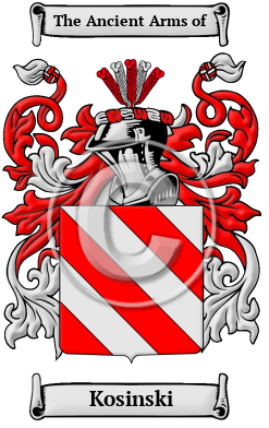 Kosinski Family Crest/Coat of Arms