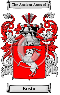 Kosta Family Crest/Coat of Arms