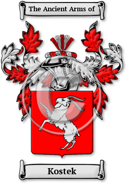Kostek Family Crest Download (jpg) Legacy Series - 150 DPI