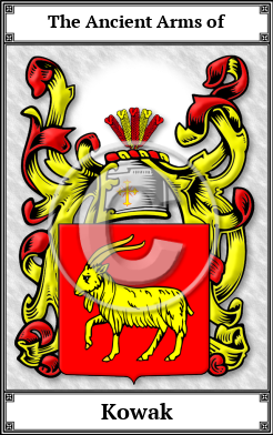 Kowak Family Crest Download (JPG) Book Plated - 600 DPI