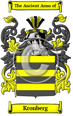 Kronberg Name Meaning, Family History, Family Crest & Coats of Arms