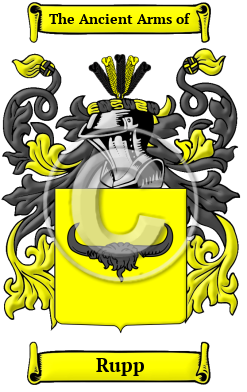 Rupp Family Crest/Coat of Arms