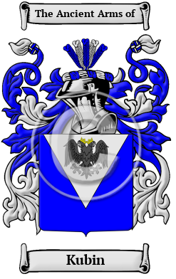 Kubin Family Crest/Coat of Arms