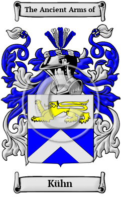 Kühn Family Crest Download (JPG) Heritage Series - 300 DPI