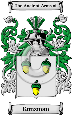 Kunzman Family Crest/Coat of Arms
