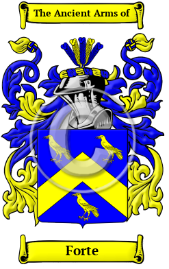 Forte Family Crest/Coat of Arms