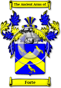Forte Family Crest Download (jpg) Legacy Series - 150 DPI