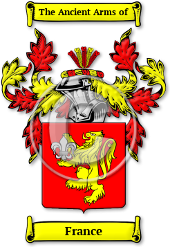 France Family Crest Download (jpg) Legacy Series - 150 DPI