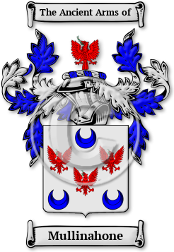 Mullinahone Family Crest Download (JPG) Legacy Series - 600 DPI