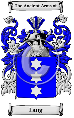 Lang Name Meaning, Family History, Family Crest & Coats of Arms, Dutch