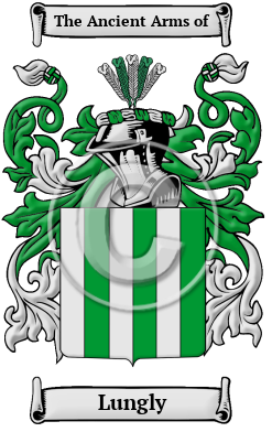 Lungly Family Crest/Coat of Arms