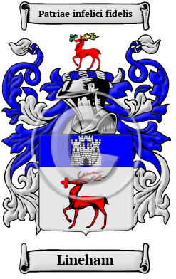 Lineham Family Crest/Coat of Arms