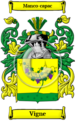 Vigne Family Crest/Coat of Arms