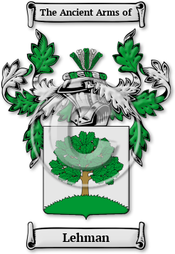 Lehman Family Crest Download (jpg) Legacy Series - 150 DPI