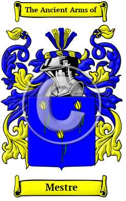 Mestre Family Crest/Coat of Arms