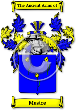 Mestre Family Crest Download (jpg) Legacy Series - 150 DPI