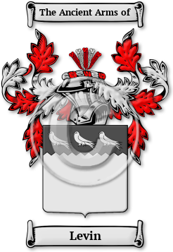 Levin Family Crest Download (JPG) Legacy Series - 600 DPI