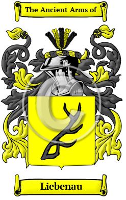 Liebenau Family Crest/Coat of Arms